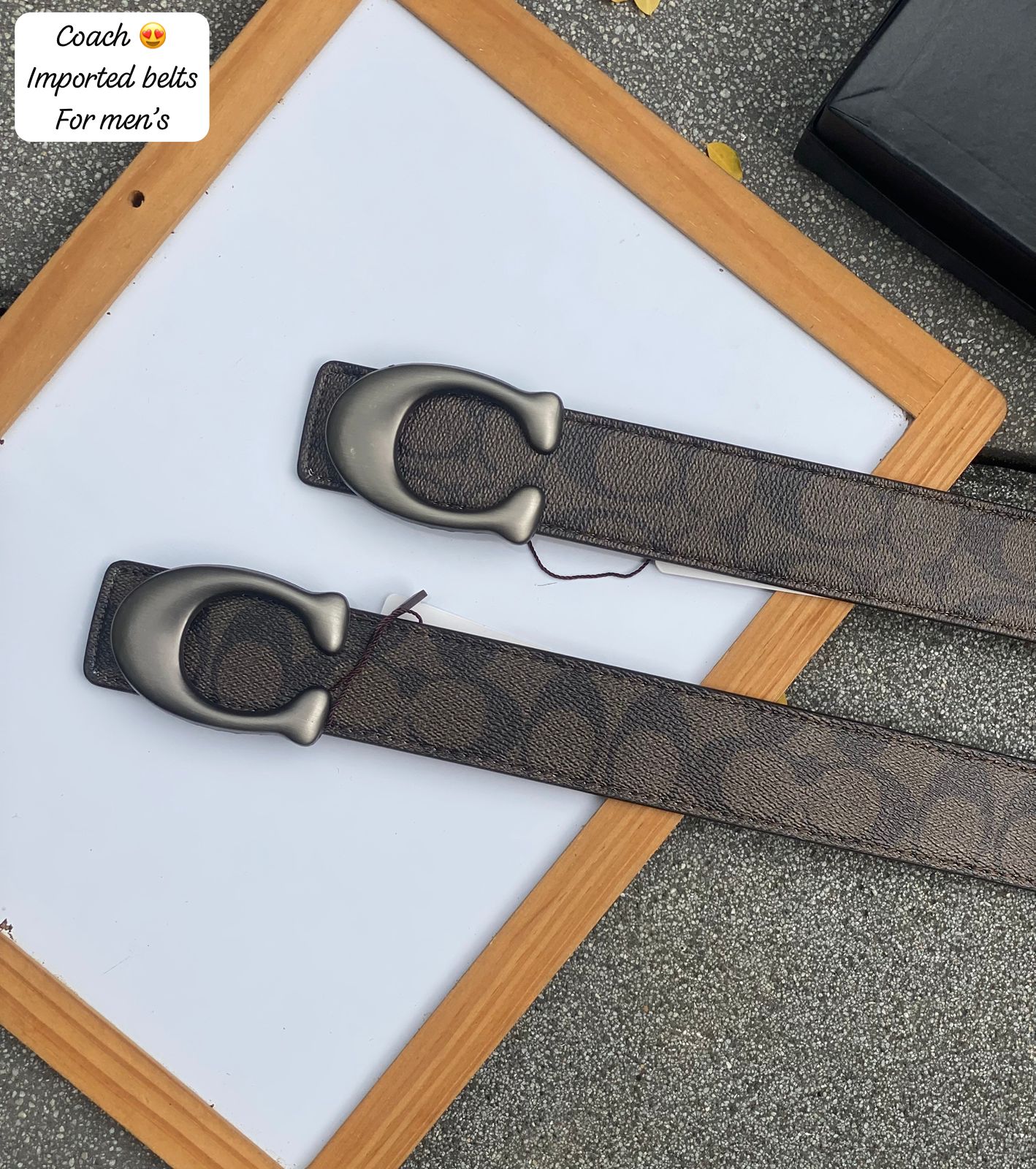 Coach Belt 1007